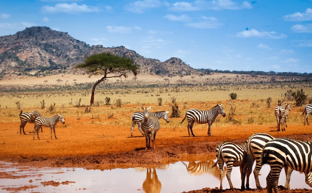 Le Kenya abrite certains des paysages les plus époustouflants – Agence visa  agréée : Commandez vos visas en ligne